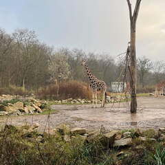 24-12-06 14-38-40 1648